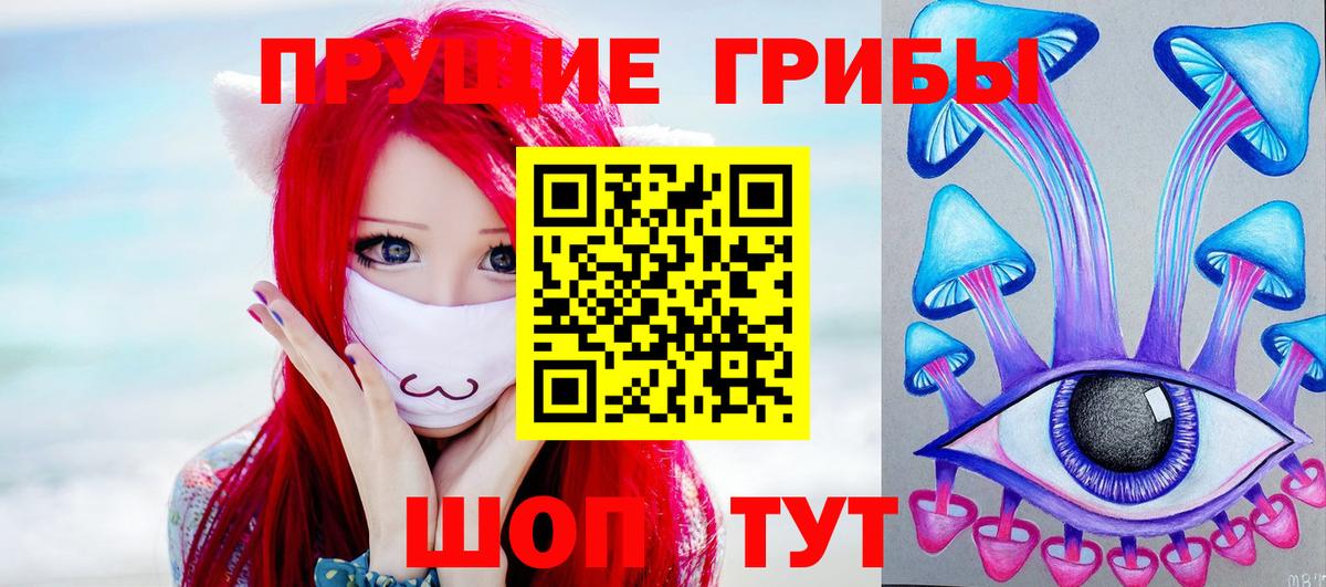 Старая Купавна  Псилоцибиновые грибы Psilocybe  Вход с VPN 