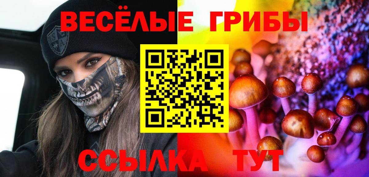 Псилоцибиновые грибы MAGIC MUSHROOMS Старая Купавна